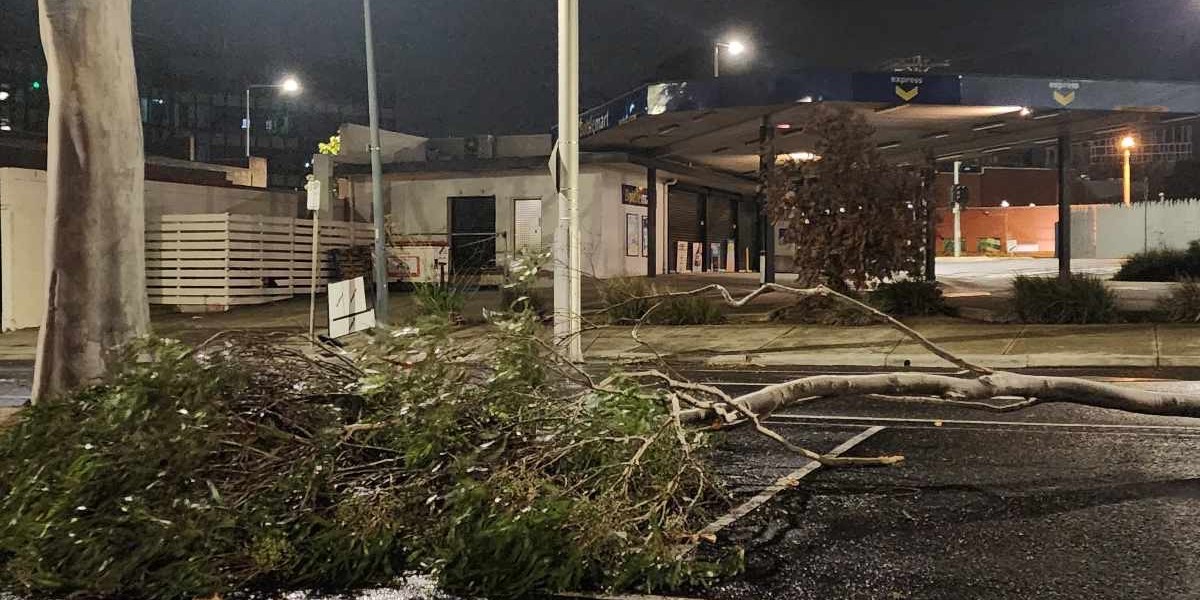 High-Quality Live: Winds Batter Central New Zealand Landscape in HD High-Quality Live: Winds Batter Central New Zealand Landscape in HD