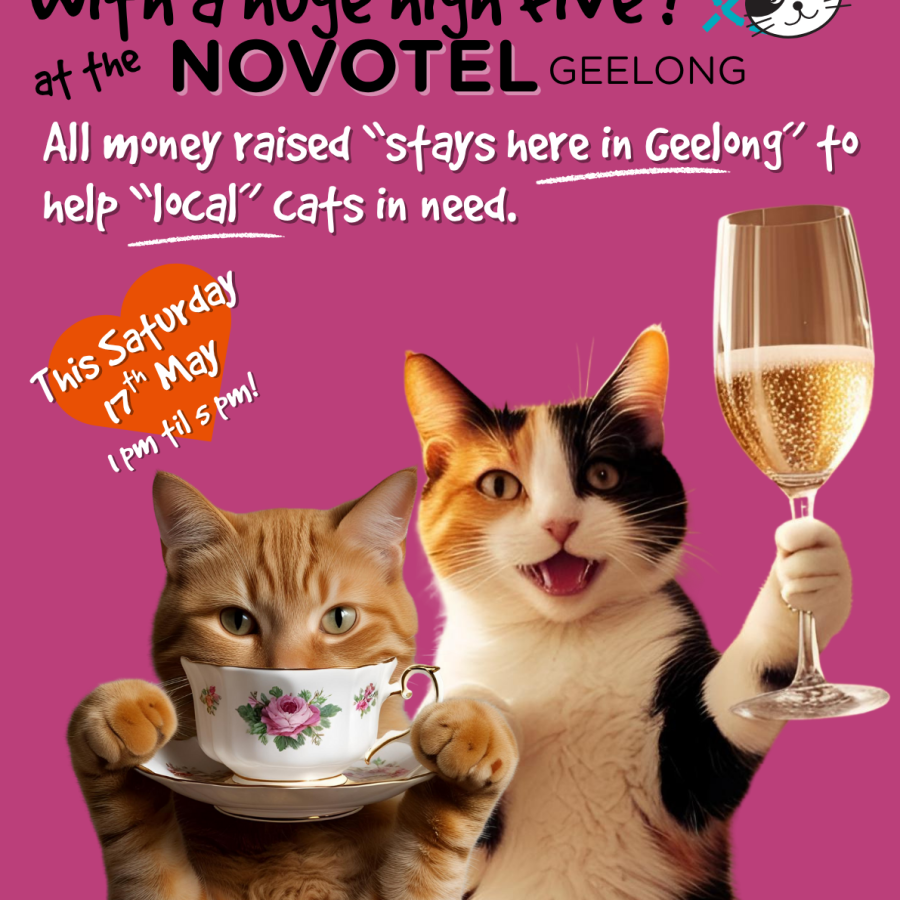 熟女倶楽部 真理邑ケイ 無修正