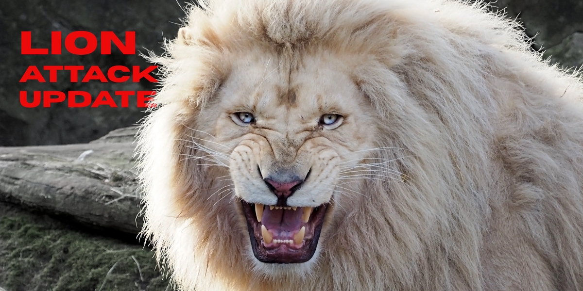 Lion Attack Update - bay 93.9