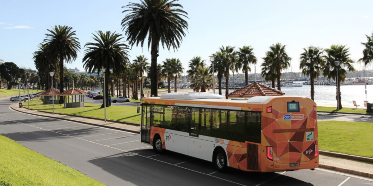 Calls to look at transport options