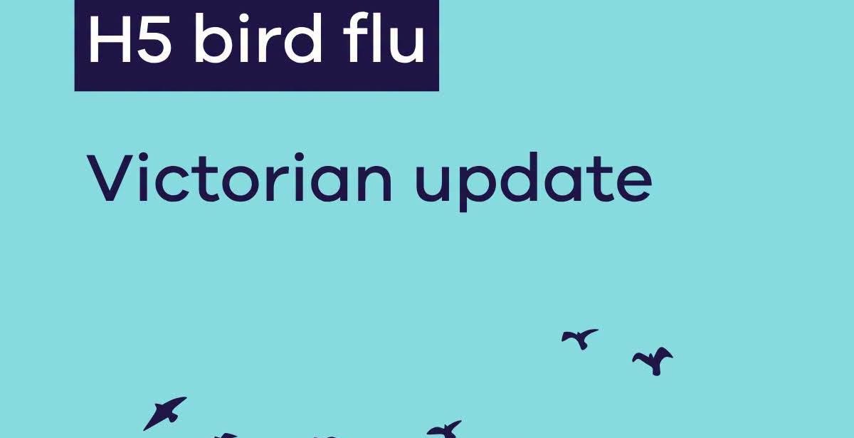 Suspected H5 bird flu case discovered in Victoria