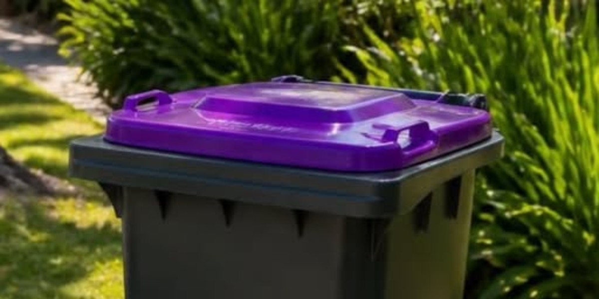 City continues fight against fourth kerbside bin